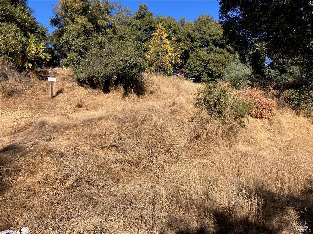 Detail Gallery Image 3 of 7 For 4788 Yarrington Ct, Clearlake,  CA 95422 - – Beds | – Baths