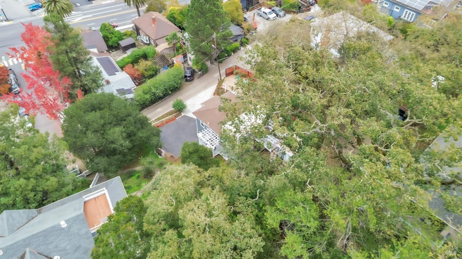 Detail Gallery Image 43 of 56 For 11 Jessup St, San Rafael,  CA 94901 - 3 Beds | 1 Baths