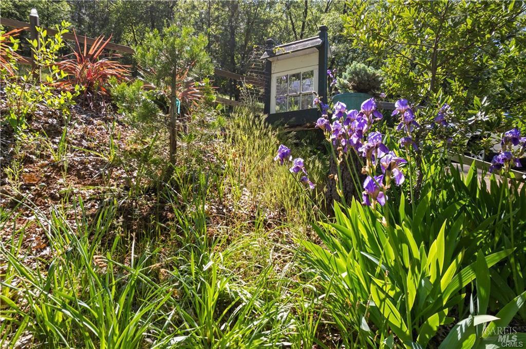 Detail Gallery Image 11 of 51 For 3062 Riviera Heights Dr, Kelseyville,  CA 95451 - 3 Beds | 2 Baths