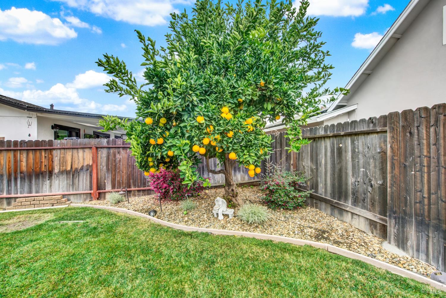Detail Gallery Image 68 of 78 For 221 Livingston Ave, Vacaville,  CA 95687 - 3 Beds | 2 Baths