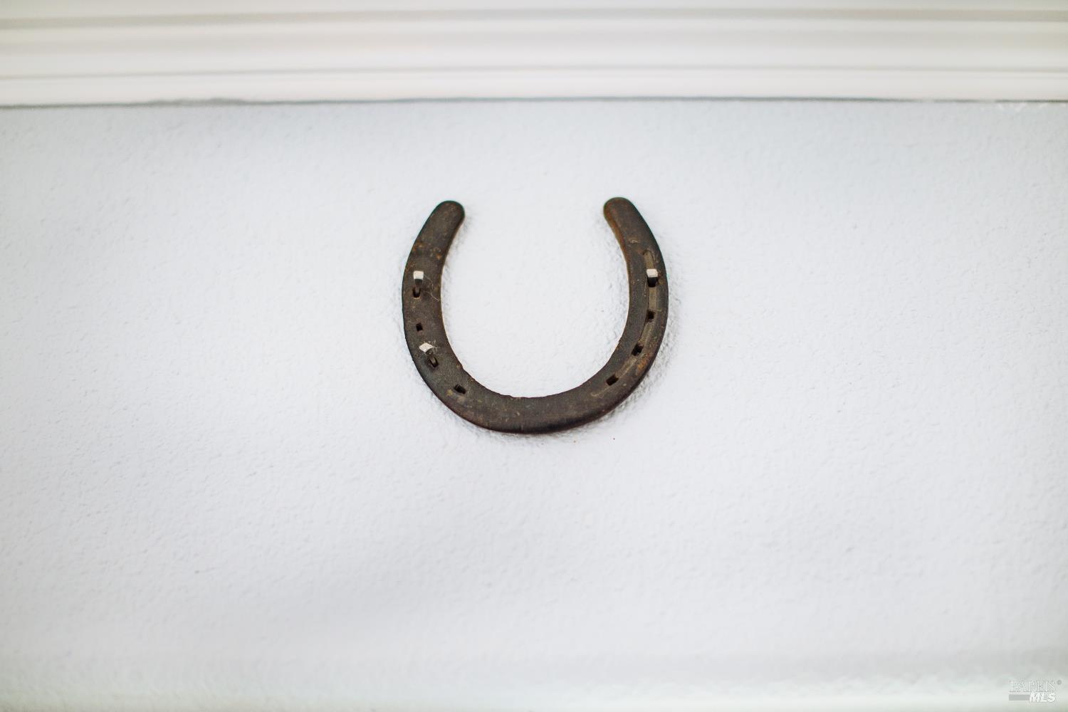 Detail Gallery Image 45 of 53 For 236 Belfiore Ln, Windsor,  CA 95492 - 4 Beds | 3 Baths