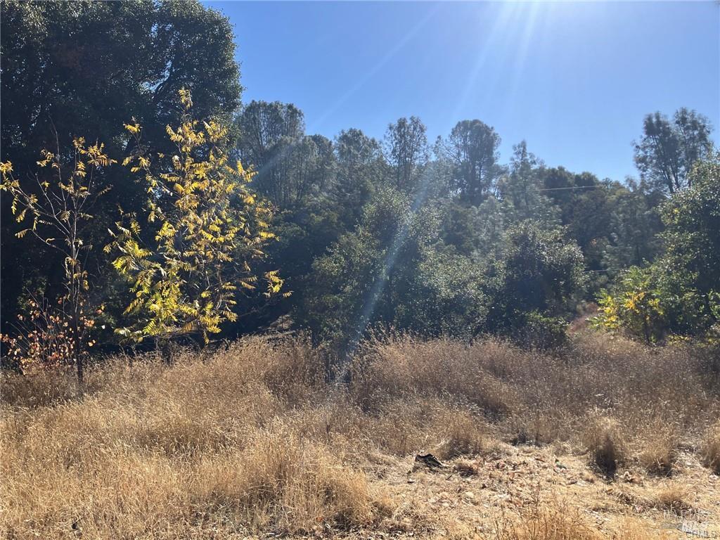 Detail Gallery Image 4 of 7 For 4788 Yarrington Ct, Clearlake,  CA 95422 - – Beds | – Baths