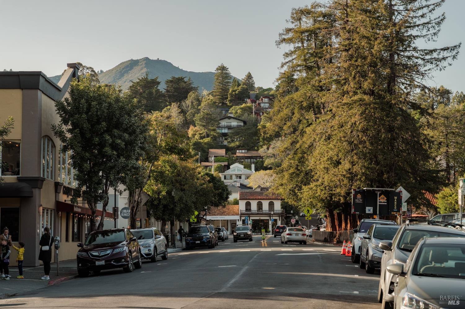 Detail Gallery Image 55 of 58 For 529 Alta Way, Mill Valley,  CA 94941 - 4 Beds | 2/1 Baths