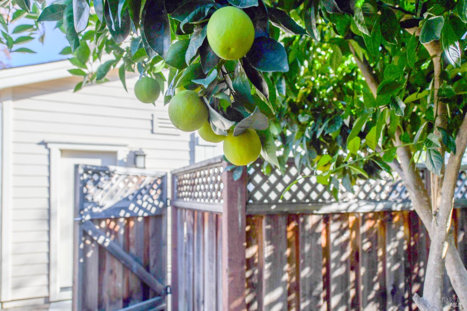 Detail Gallery Image 31 of 33 For 4048 Browns Valley Rd, Napa,  CA 94558 - 4 Beds | 3 Baths