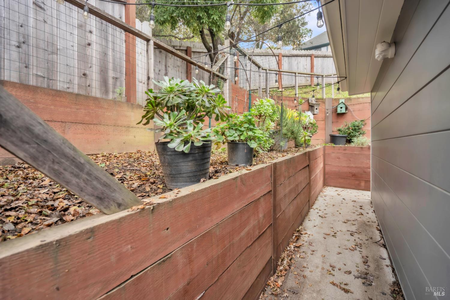 Detail Gallery Image 53 of 56 For 11 Jessup St, San Rafael,  CA 94901 - 3 Beds | 1 Baths