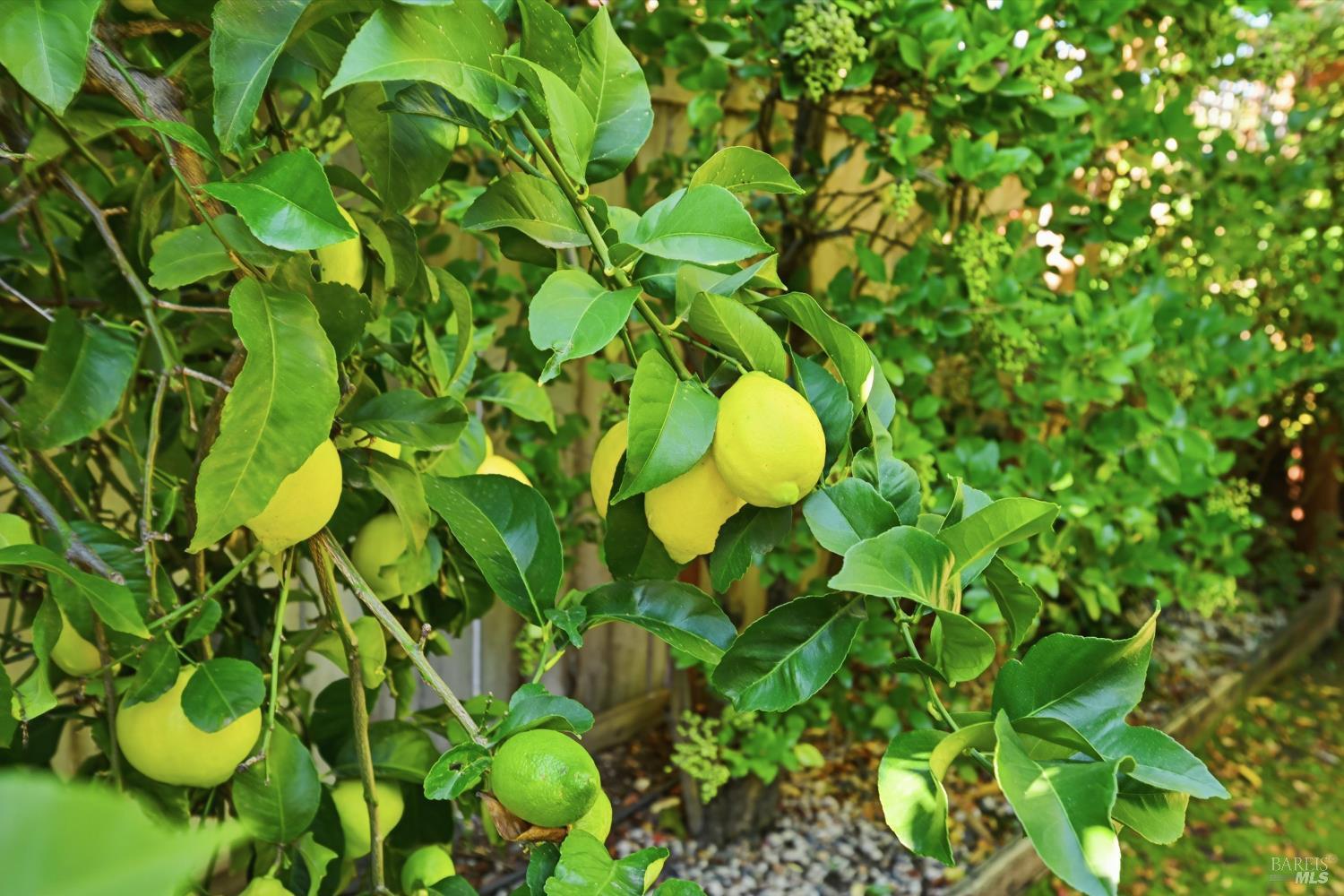 Detail Gallery Image 22 of 53 For 28 S Newport Dr, Napa,  CA 94559 - 5 Beds | 3 Baths