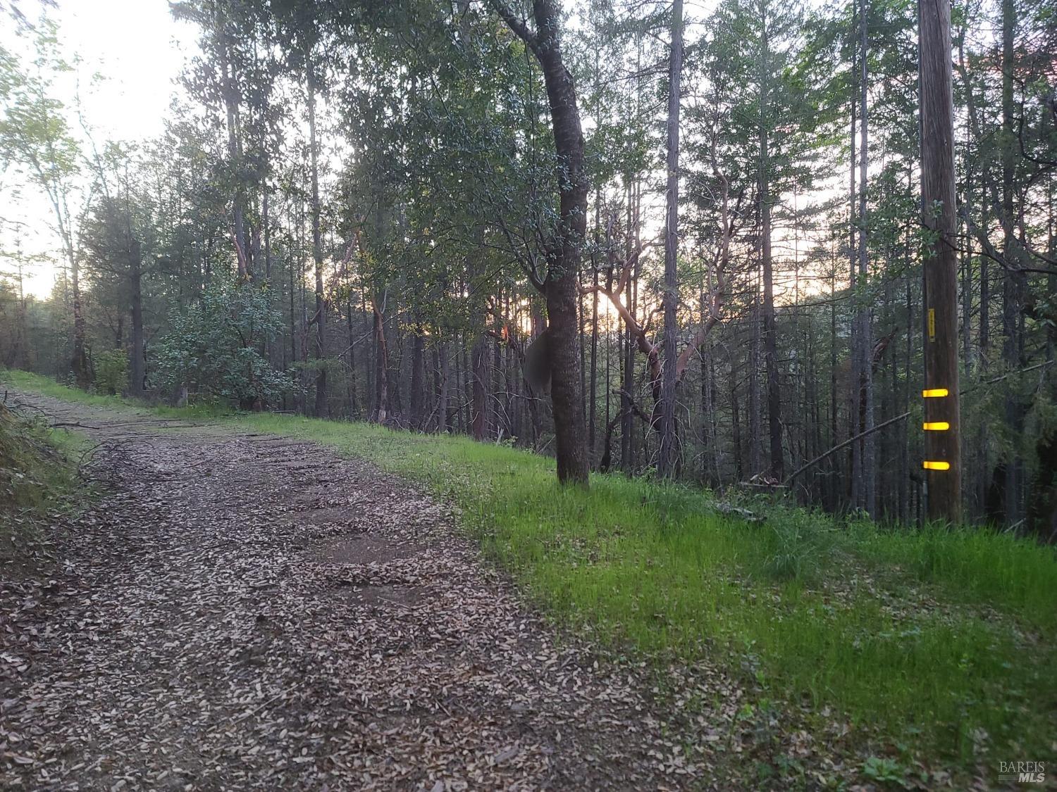 Detail Gallery Image 6 of 27 For 3620 Eel River Ranch Rd, Covelo,  CA 95428 - 2 Beds | 1 Baths