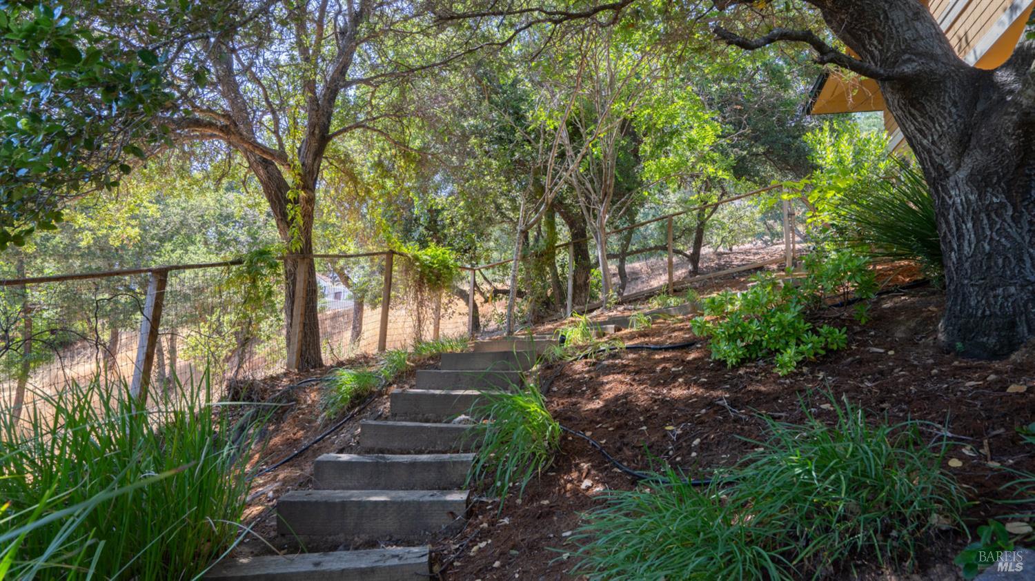 Detail Gallery Image 69 of 74 For 6 Leona Dr, San Rafael,  CA 94903 - 4 Beds | 3/1 Baths