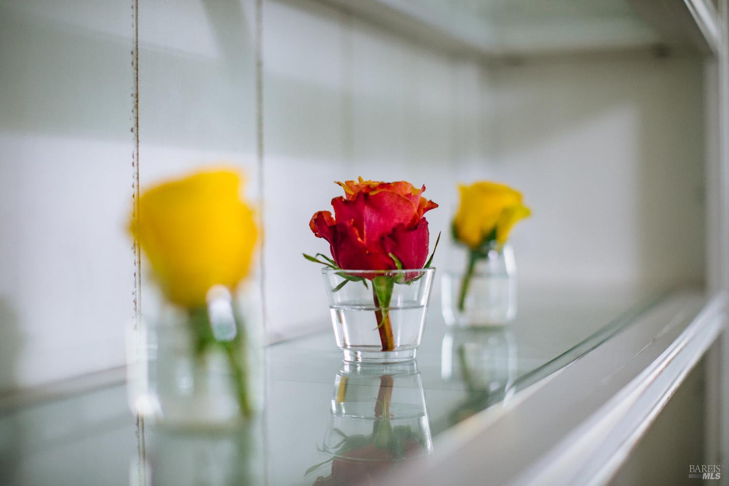 Detail Gallery Image 14 of 53 For 236 Belfiore Ln, Windsor,  CA 95492 - 4 Beds | 3 Baths