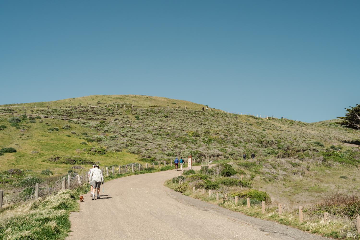 Detail Gallery Image 47 of 58 For 529 Alta Way, Mill Valley,  CA 94941 - 4 Beds | 2/1 Baths