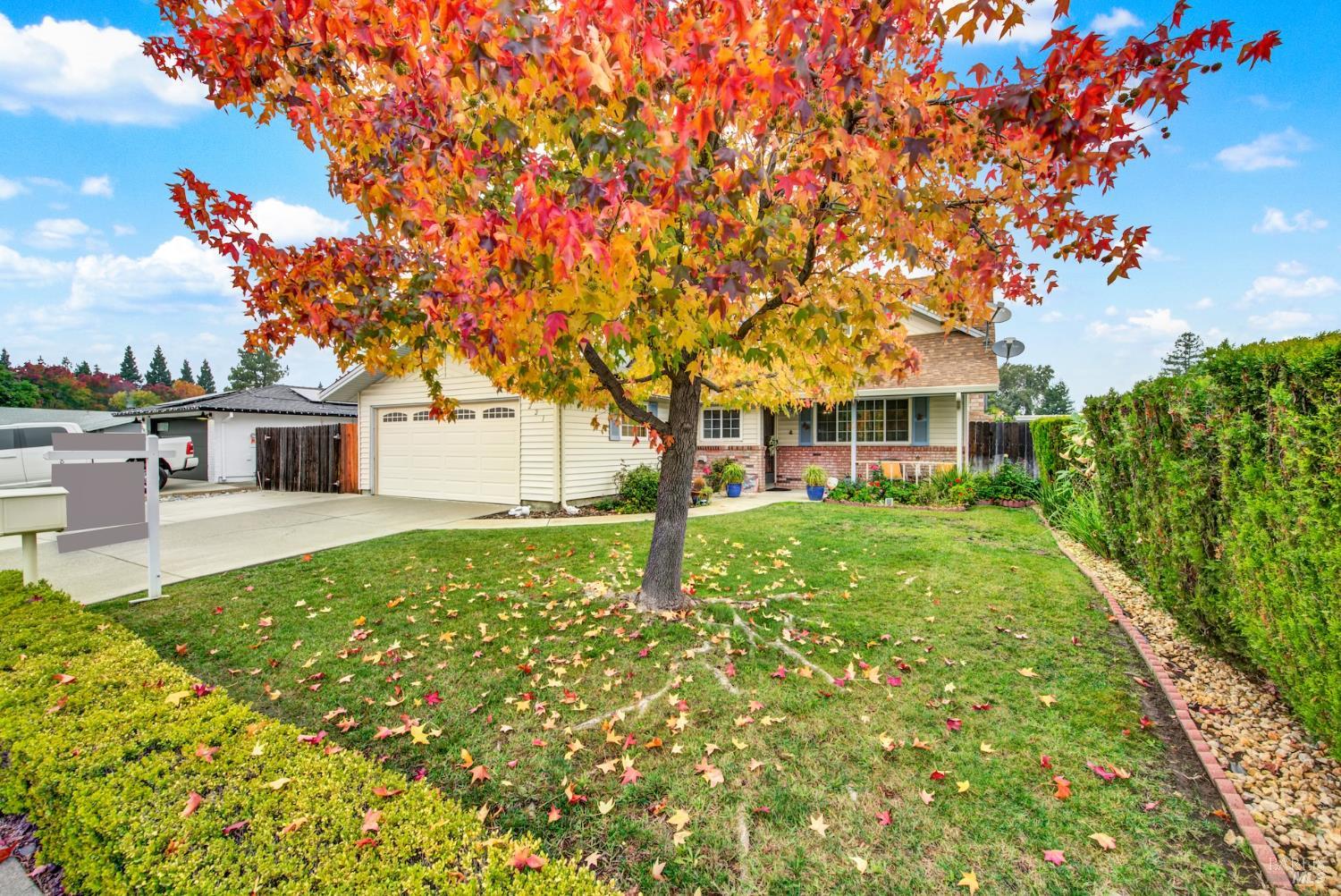 Detail Gallery Image 11 of 78 For 221 Livingston Ave, Vacaville,  CA 95687 - 3 Beds | 2 Baths