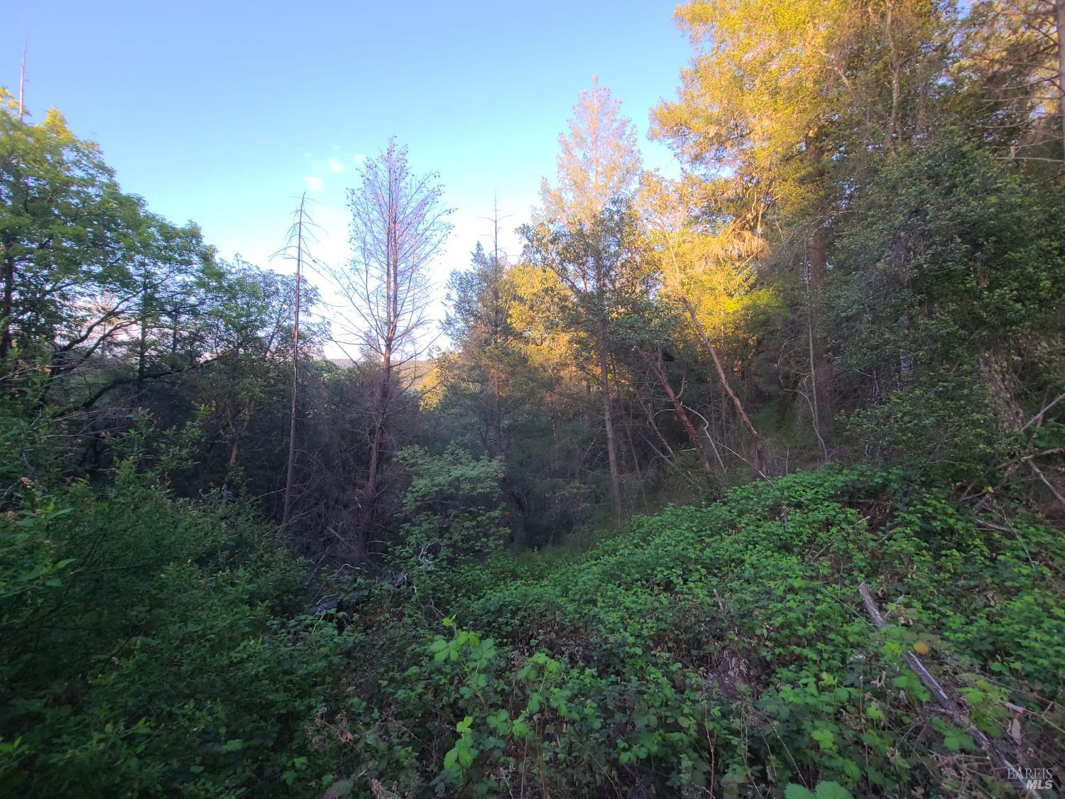 Detail Gallery Image 4 of 27 For 3620 Eel River Ranch Rd, Covelo,  CA 95428 - 2 Beds | 1 Baths