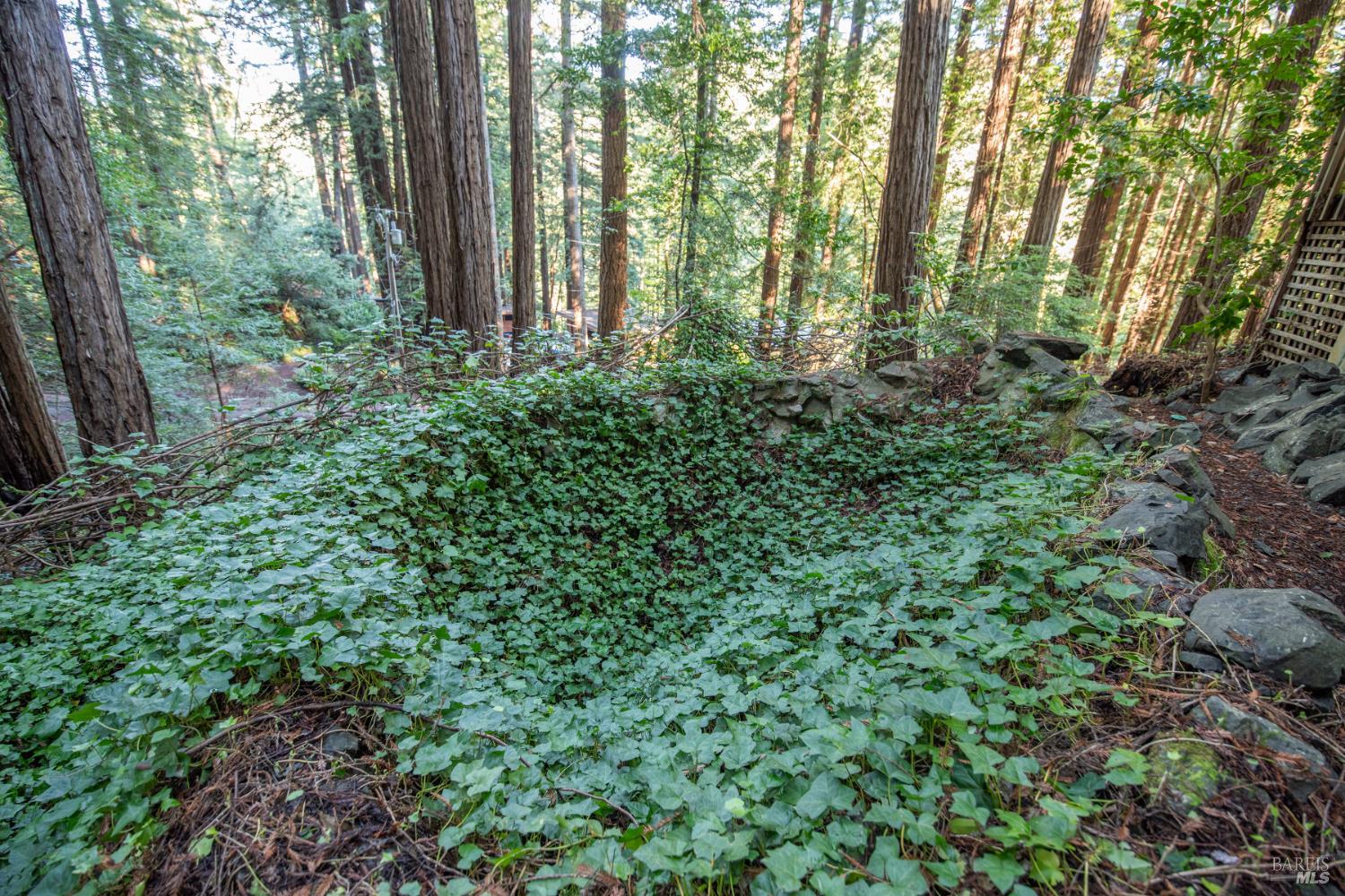 Detail Gallery Image 13 of 77 For 11 Huckleberry Hts, Cazadero,  CA 95421 - 2 Beds | 3 Baths