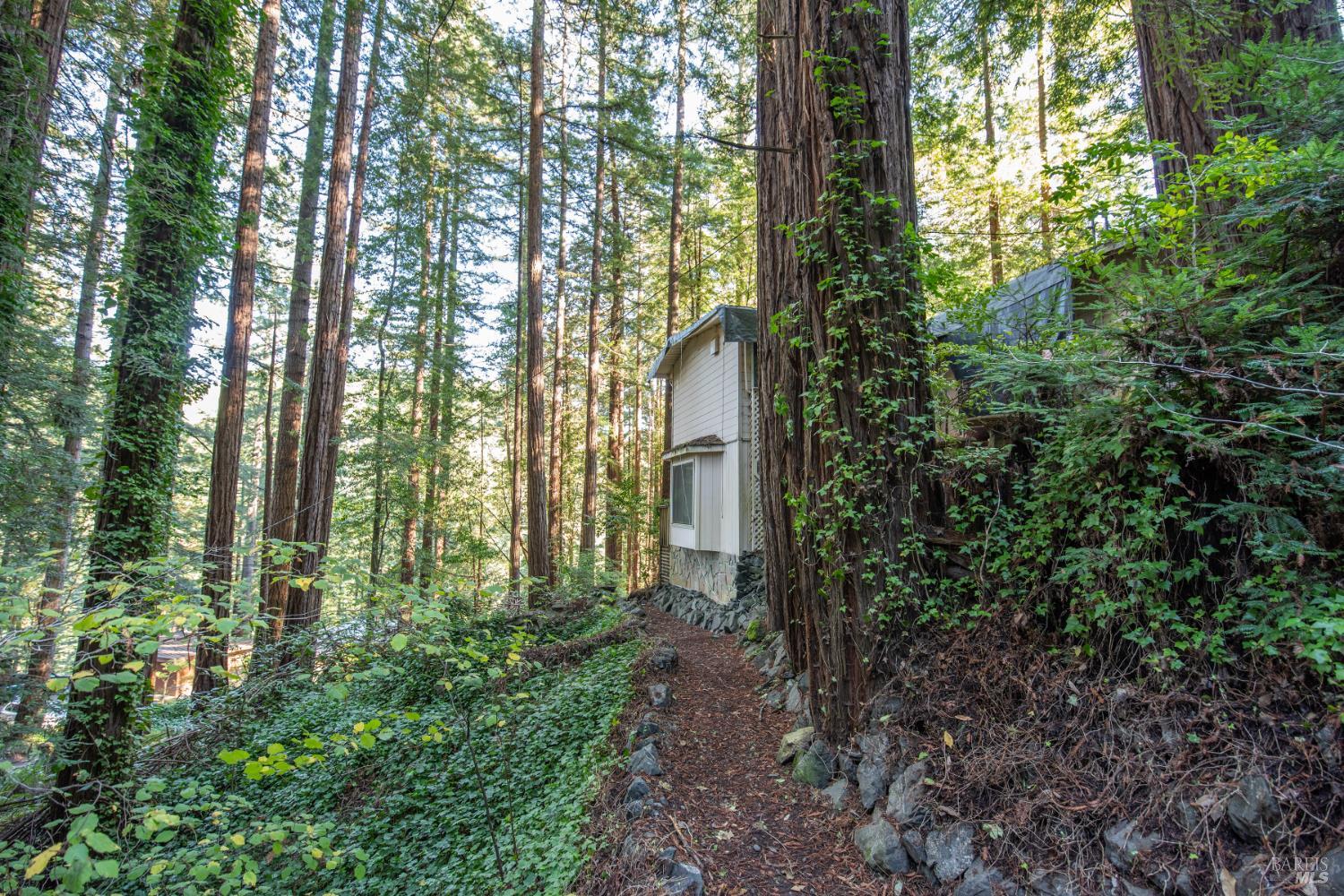 Detail Gallery Image 9 of 77 For 11 Huckleberry Hts, Cazadero,  CA 95421 - 2 Beds | 3 Baths