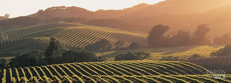 Detail Gallery Image 61 of 64 For 530 Jade St, Petaluma,  CA 94952 - 2 Beds | 2/1 Baths