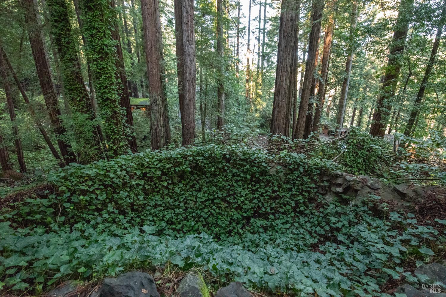 Detail Gallery Image 11 of 77 For 11 Huckleberry Hts, Cazadero,  CA 95421 - 2 Beds | 3 Baths