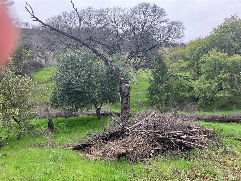 Detail Gallery Image 5 of 11 For 7005 E Highway 20 Unkn, Lucerne,  CA 95458 - – Beds | – Baths