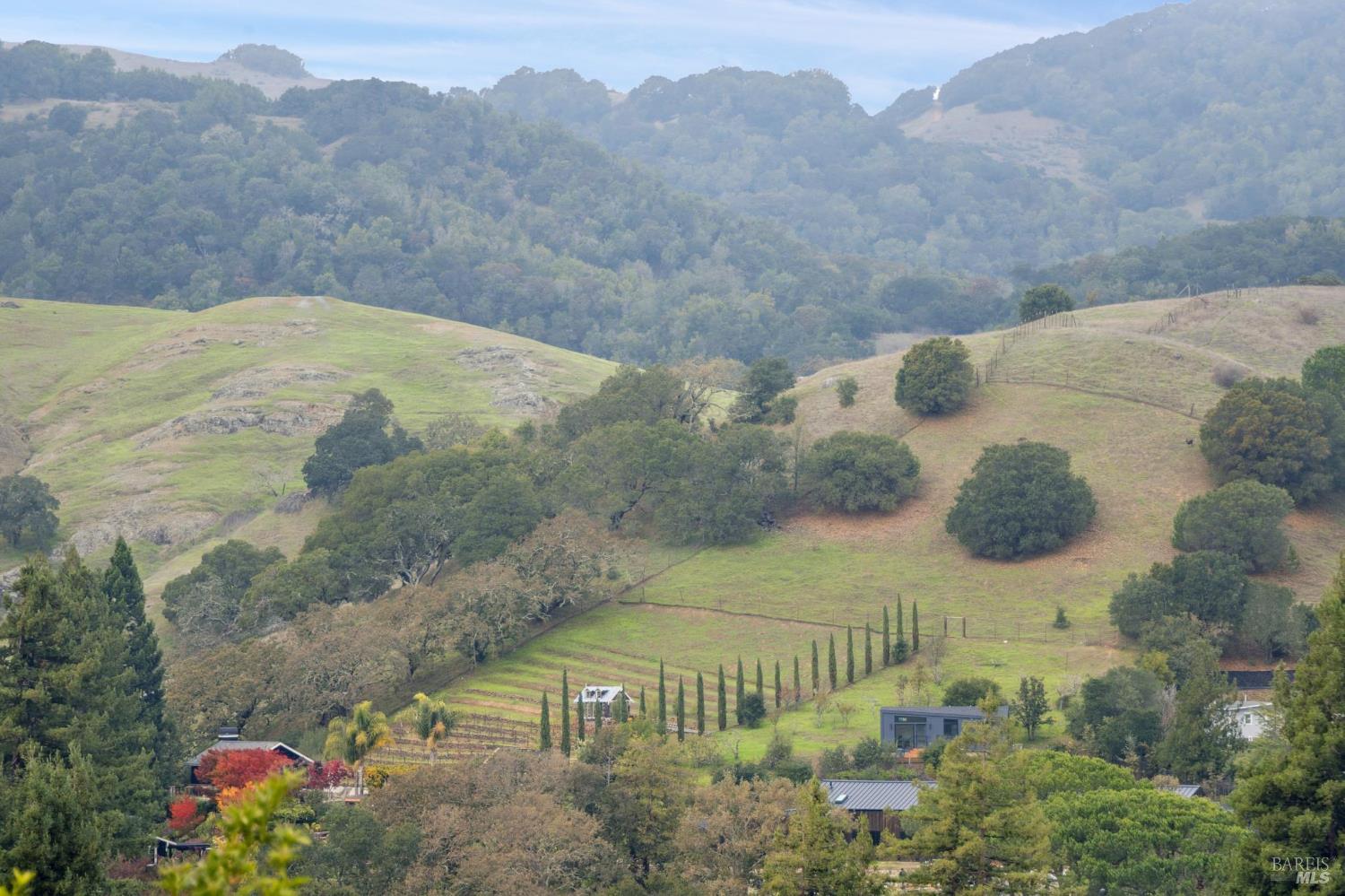 Detail Gallery Image 13 of 46 For 16 Dutch Valley Ln, San Anselmo,  CA 94960 - 4 Beds | 2 Baths
