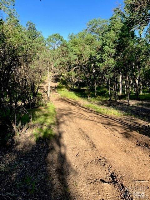 Detail Gallery Image 2 of 7 For 16053 13th Ave, Clearlake,  CA 95422 - – Beds | – Baths