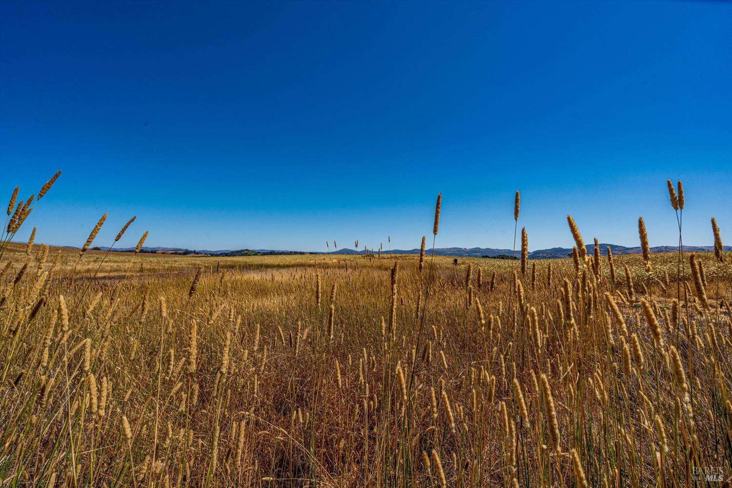 Detail Gallery Image 57 of 86 For 4044 Sonoma Hwy #14,  Napa,  CA 94559 - 2 Beds | 2/1 Baths