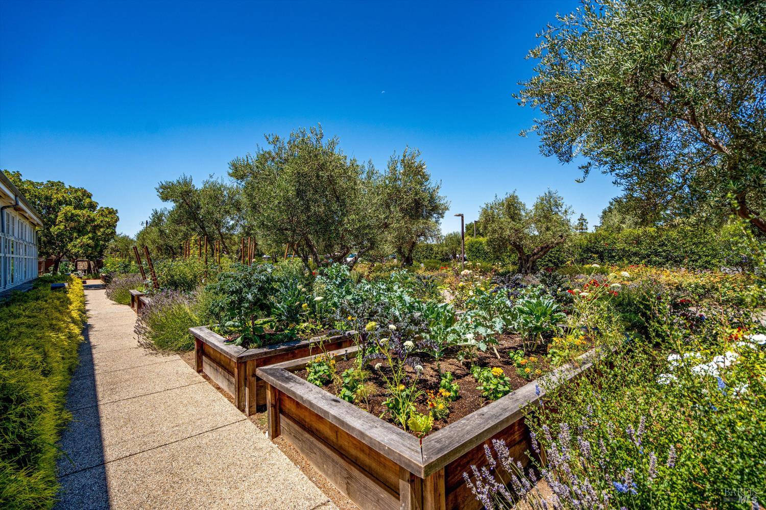 Detail Gallery Image 77 of 86 For 4044 Sonoma Hwy #14,  Napa,  CA 94559 - 2 Beds | 2/1 Baths