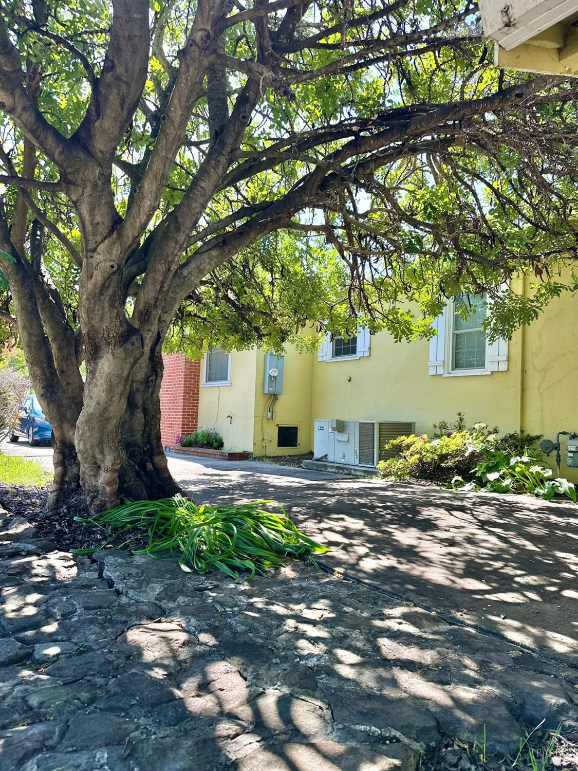 Detail Gallery Image 3 of 66 For 639 E 5th St, Benicia,  CA 94510 - – Beds | – Baths