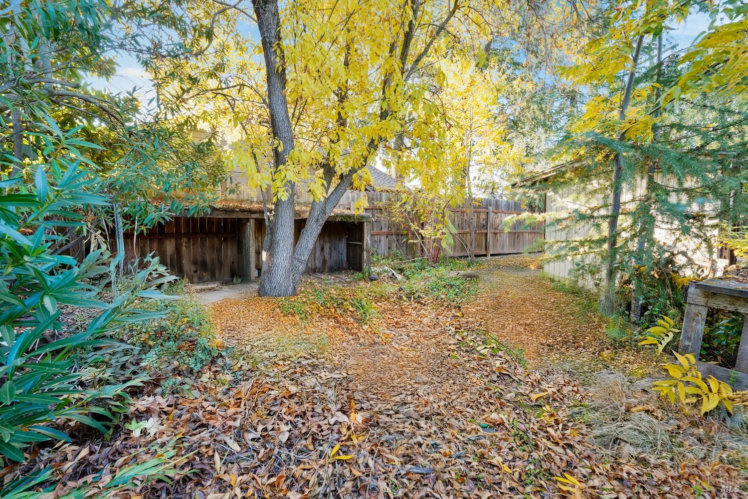 Detail Gallery Image 80 of 80 For 300 Neil St, Vacaville,  CA 95688 - 3 Beds | 2 Baths