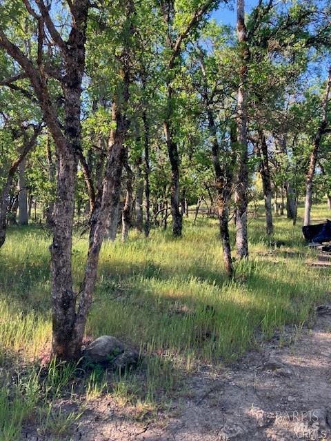 Detail Gallery Image 6 of 7 For 16053 13th Ave, Clearlake,  CA 95422 - – Beds | – Baths