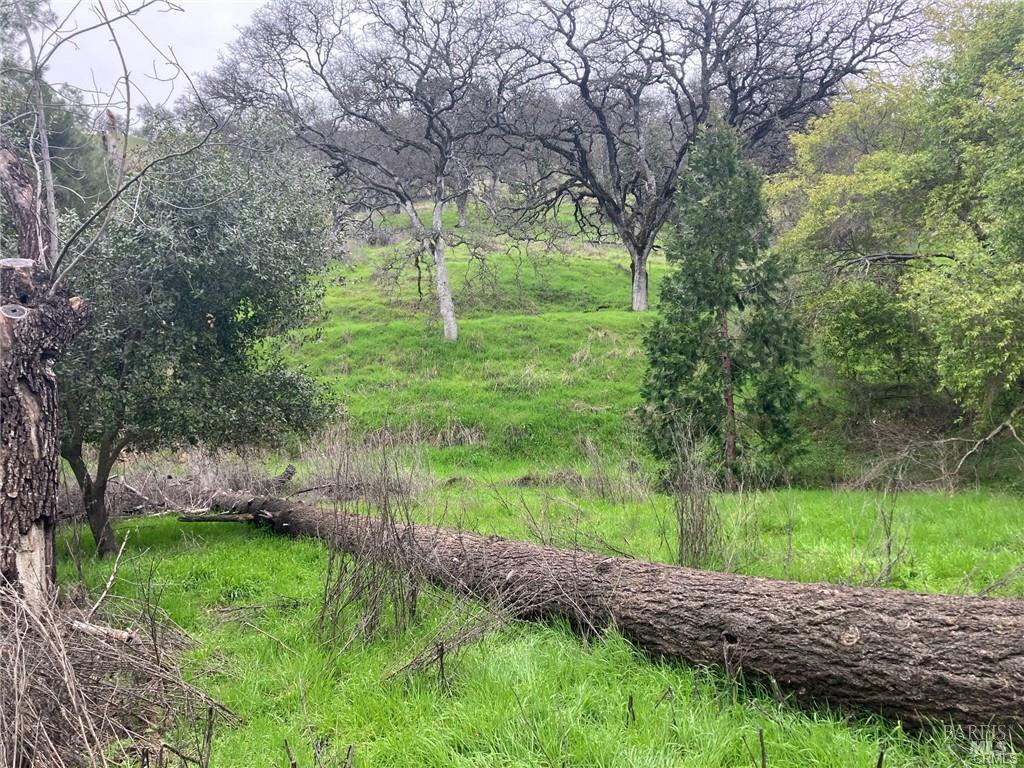 Detail Gallery Image 7 of 11 For 7005 E Highway 20 Unkn, Lucerne,  CA 95458 - – Beds | – Baths