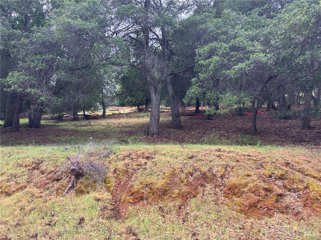 Detail Gallery Image 3 of 3 For 3153 S Lake Dr, Kelseyville,  CA 95451 - – Beds | – Baths