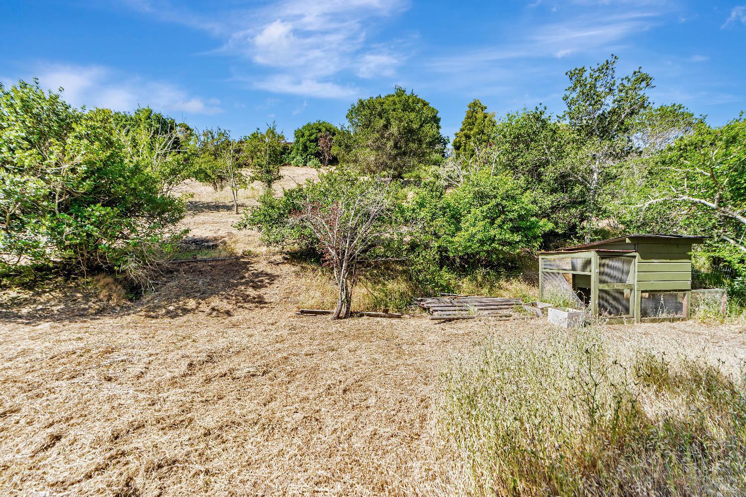 Detail Gallery Image 4 of 53 For 65 Circle Rd, San Rafael,  CA 94903 - 4 Beds | 3 Baths