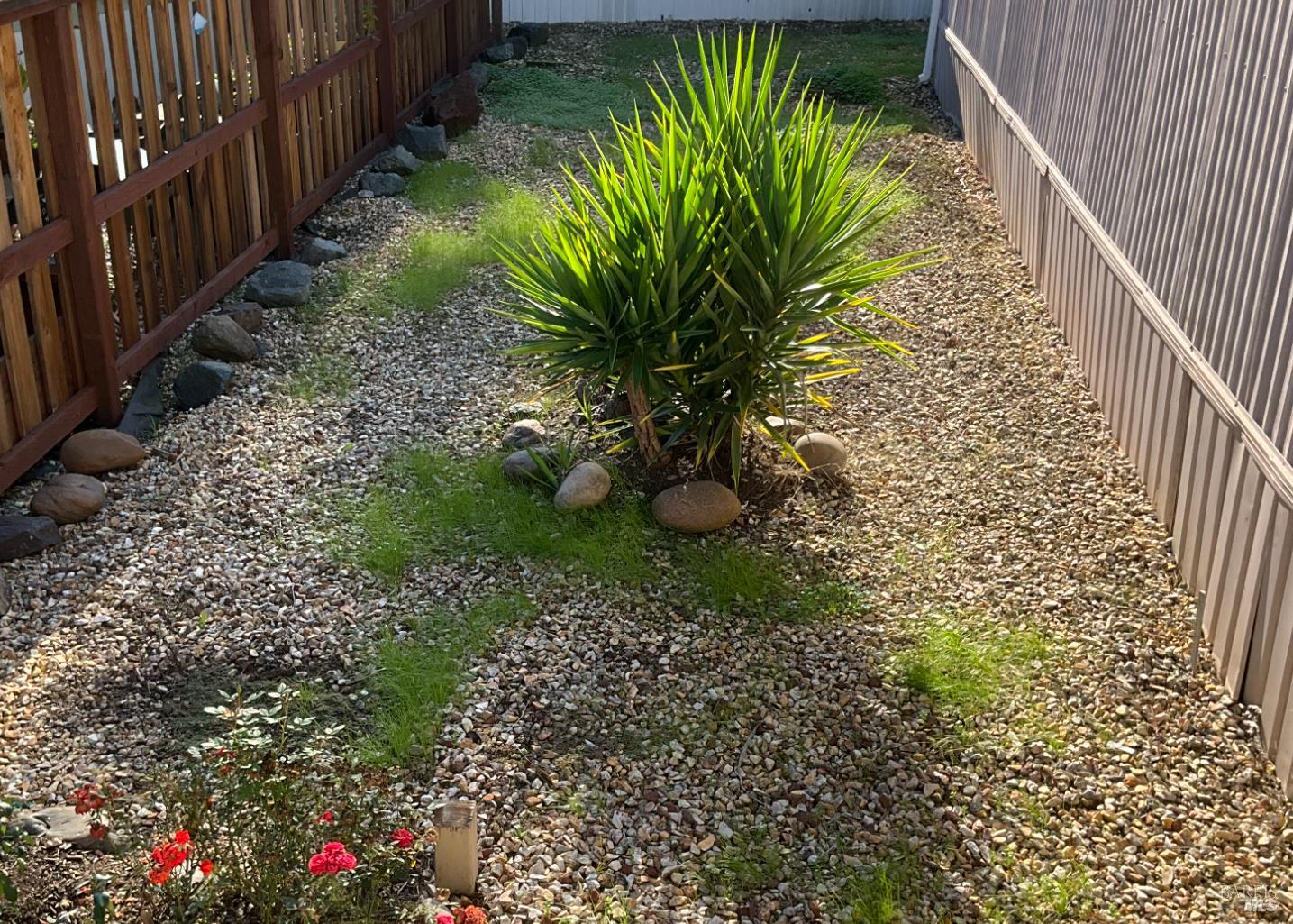 Detail Gallery Image 18 of 20 For 1003 Sonoma Ct, Petaluma,  CA 94954 - 2 Beds | 2 Baths