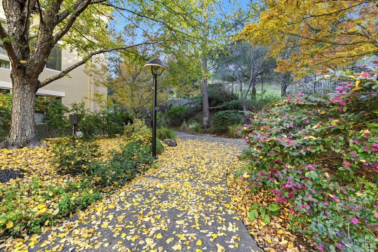 Detail Gallery Image 30 of 33 For 400 Deer Valley Rd 2f,  San Rafael,  CA 94903 - 2 Beds | 2 Baths