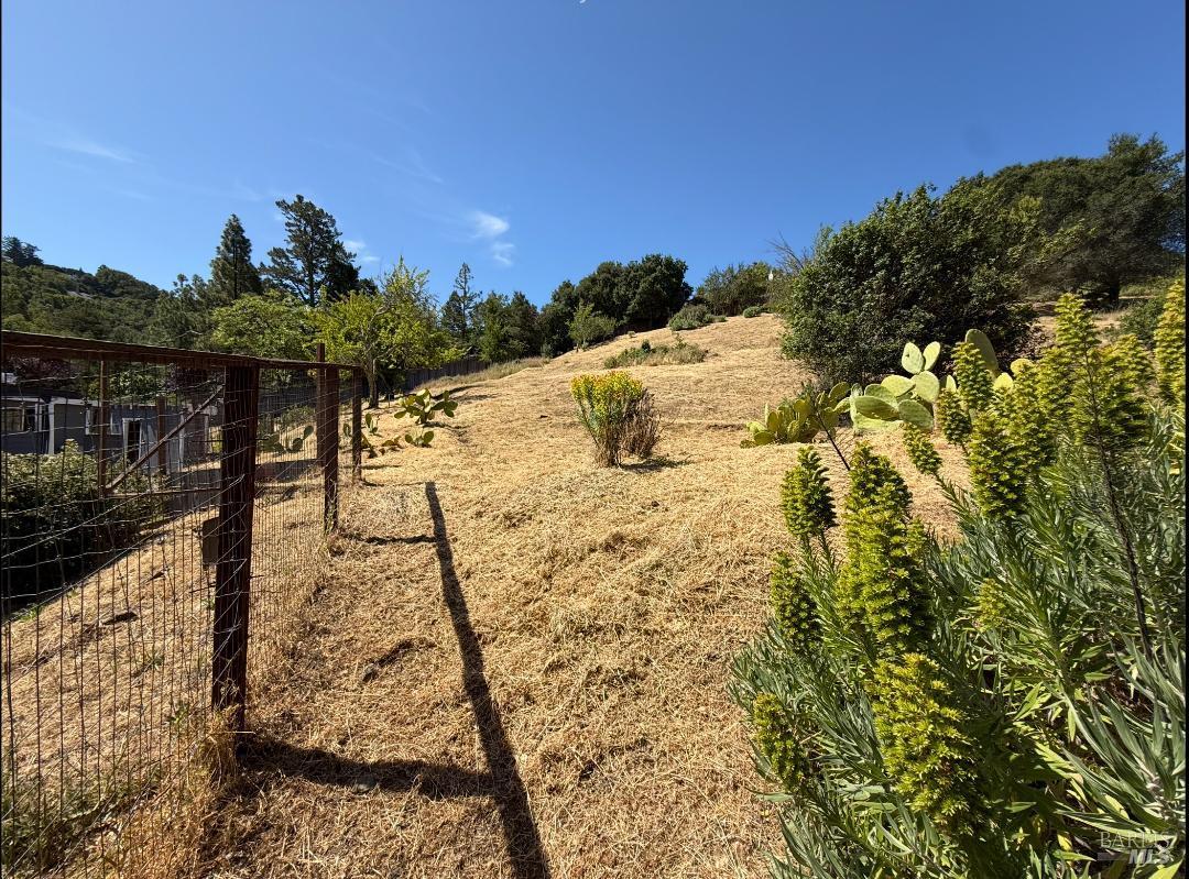 Detail Gallery Image 24 of 53 For 65 Circle Rd, San Rafael,  CA 94903 - 4 Beds | 3 Baths