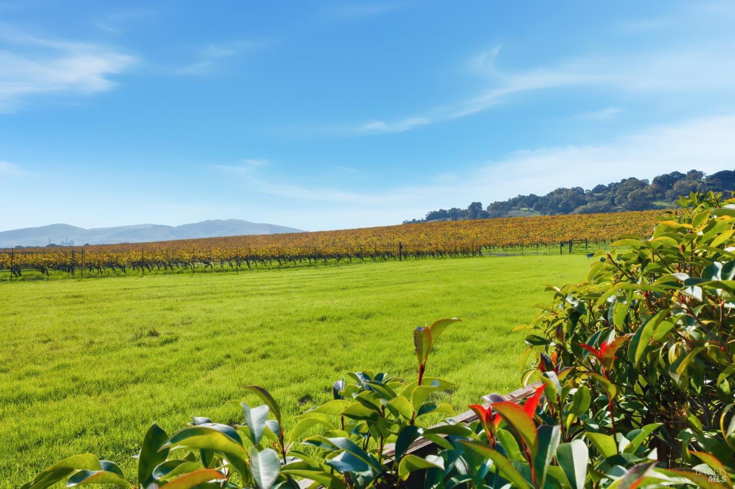 Detail Gallery Image 31 of 43 For 679 Lobelia Ct, Sonoma,  CA 95476 - 2 Beds | 2 Baths