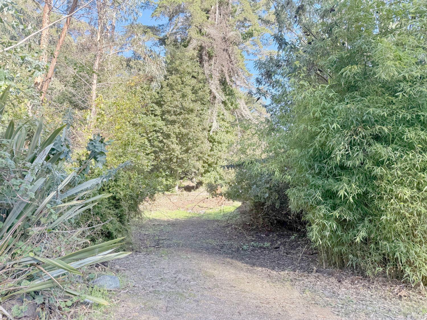 Detail Gallery Image 8 of 22 For 27832 N Highway 1 Hwy, Fort Bragg,  CA 95437 - 3 Beds | 2 Baths