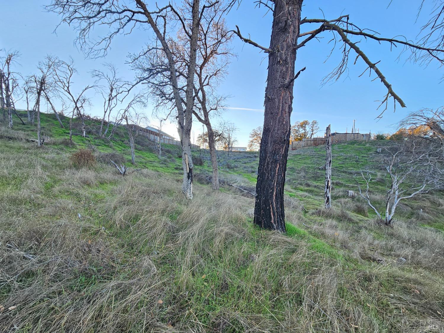 Detail Gallery Image 27 of 28 For 17150 Deer Park Dr, Lower Lake,  CA 95457 - – Beds | – Baths