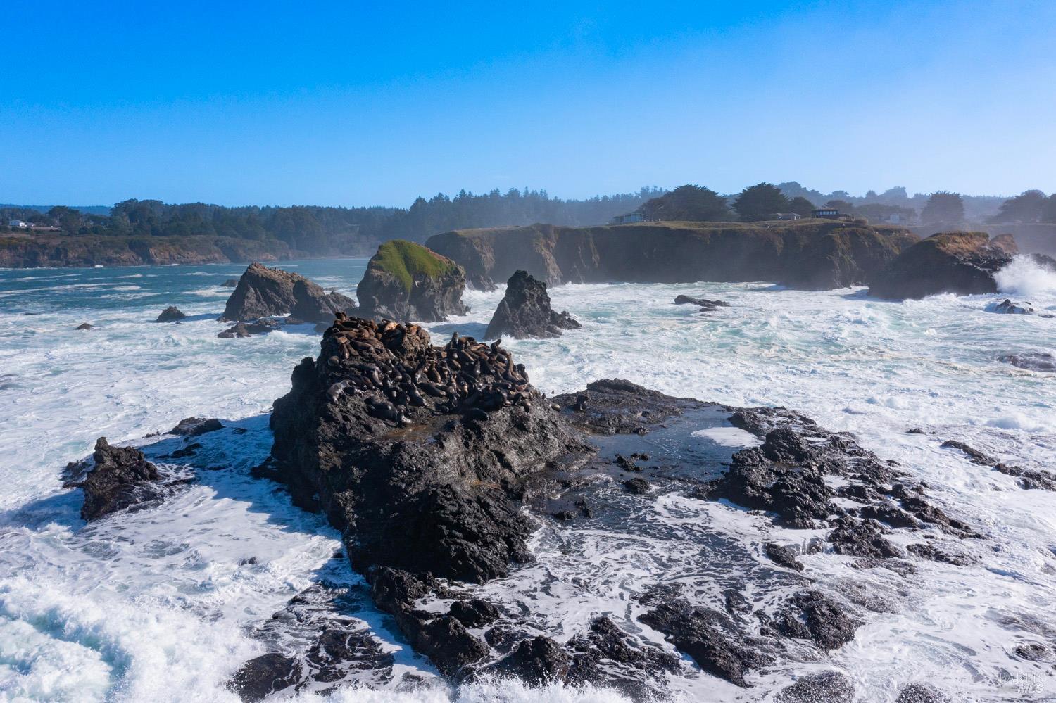 Detail Gallery Image 37 of 63 For 45525 S Caspar Dr, Mendocino,  CA 95460 - 1 Beds | 2 Baths