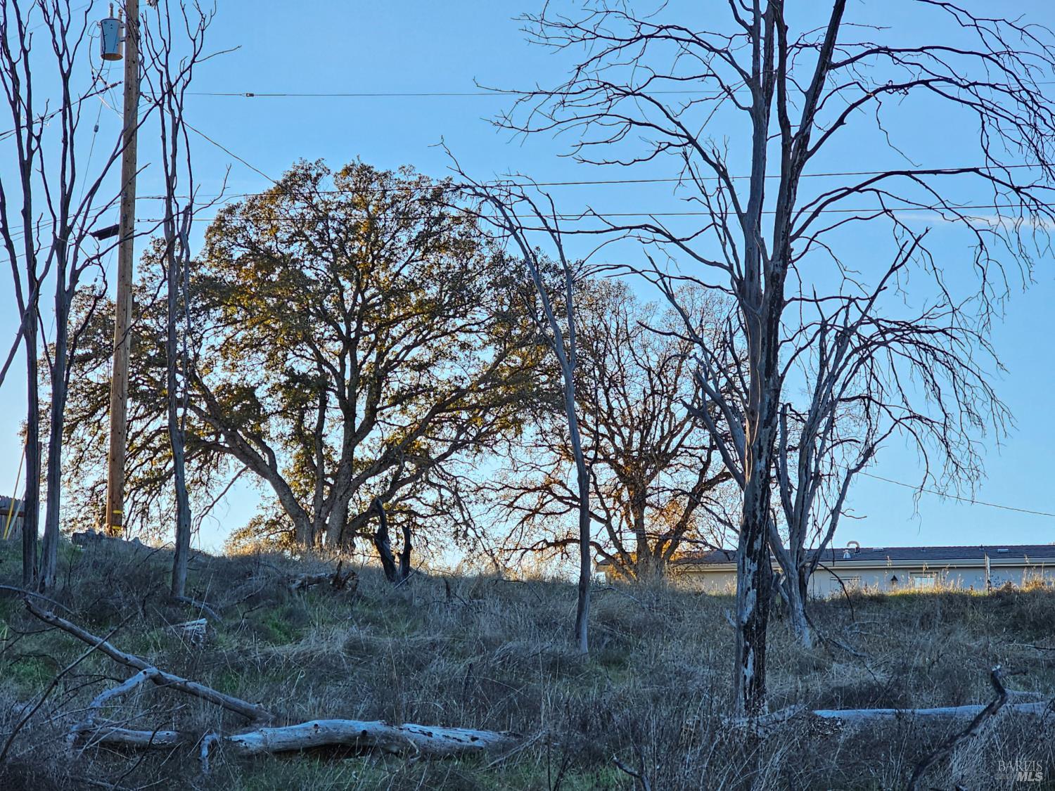 Detail Gallery Image 17 of 28 For 17150 Deer Park Dr, Lower Lake,  CA 95457 - – Beds | – Baths