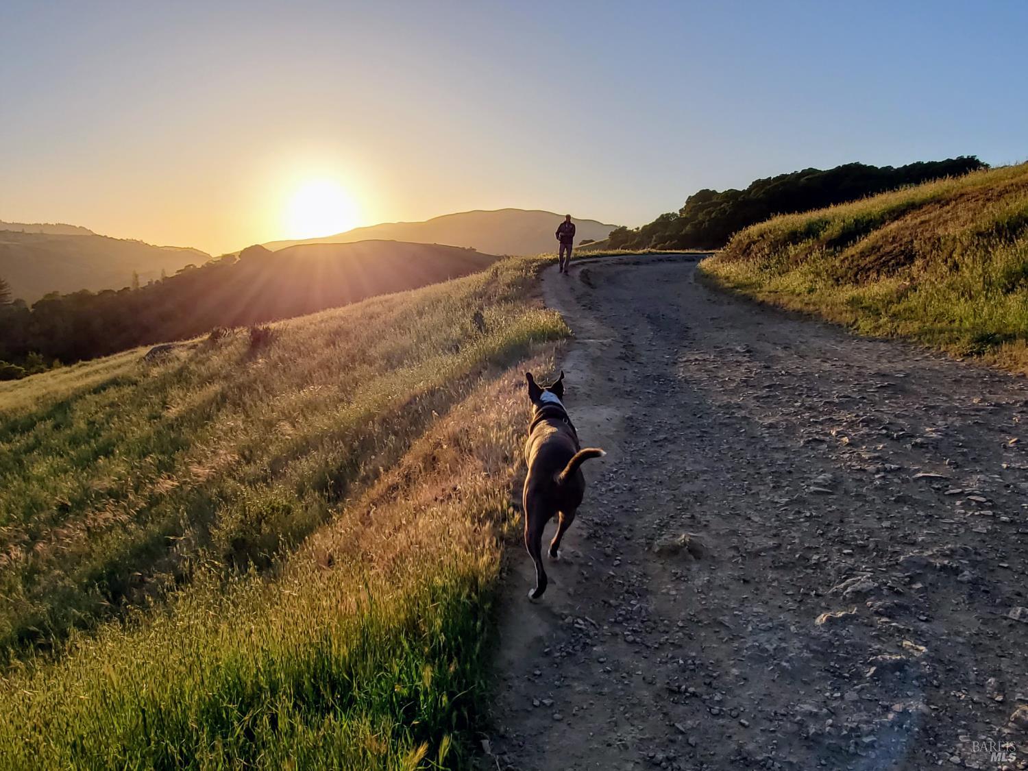 Detail Gallery Image 57 of 58 For 700 Tamarack Dr, San Rafael,  CA 94903 - 3 Beds | 2 Baths