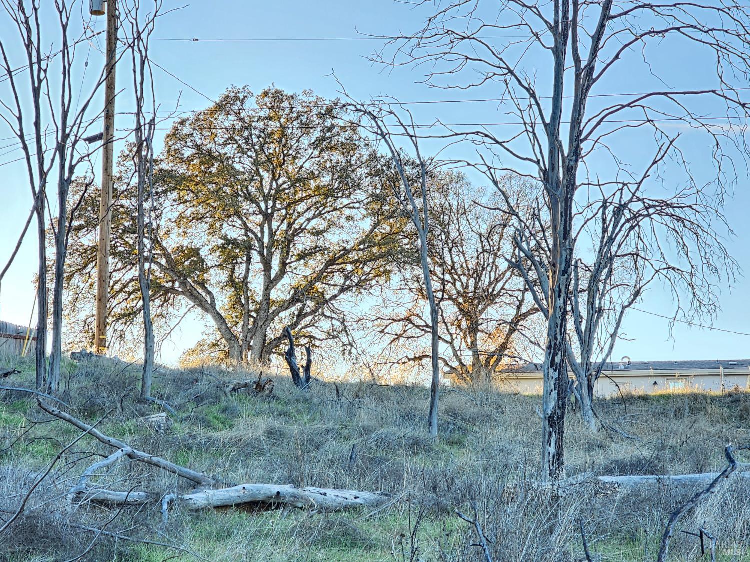 Detail Gallery Image 18 of 28 For 17150 Deer Park Dr, Lower Lake,  CA 95457 - – Beds | – Baths