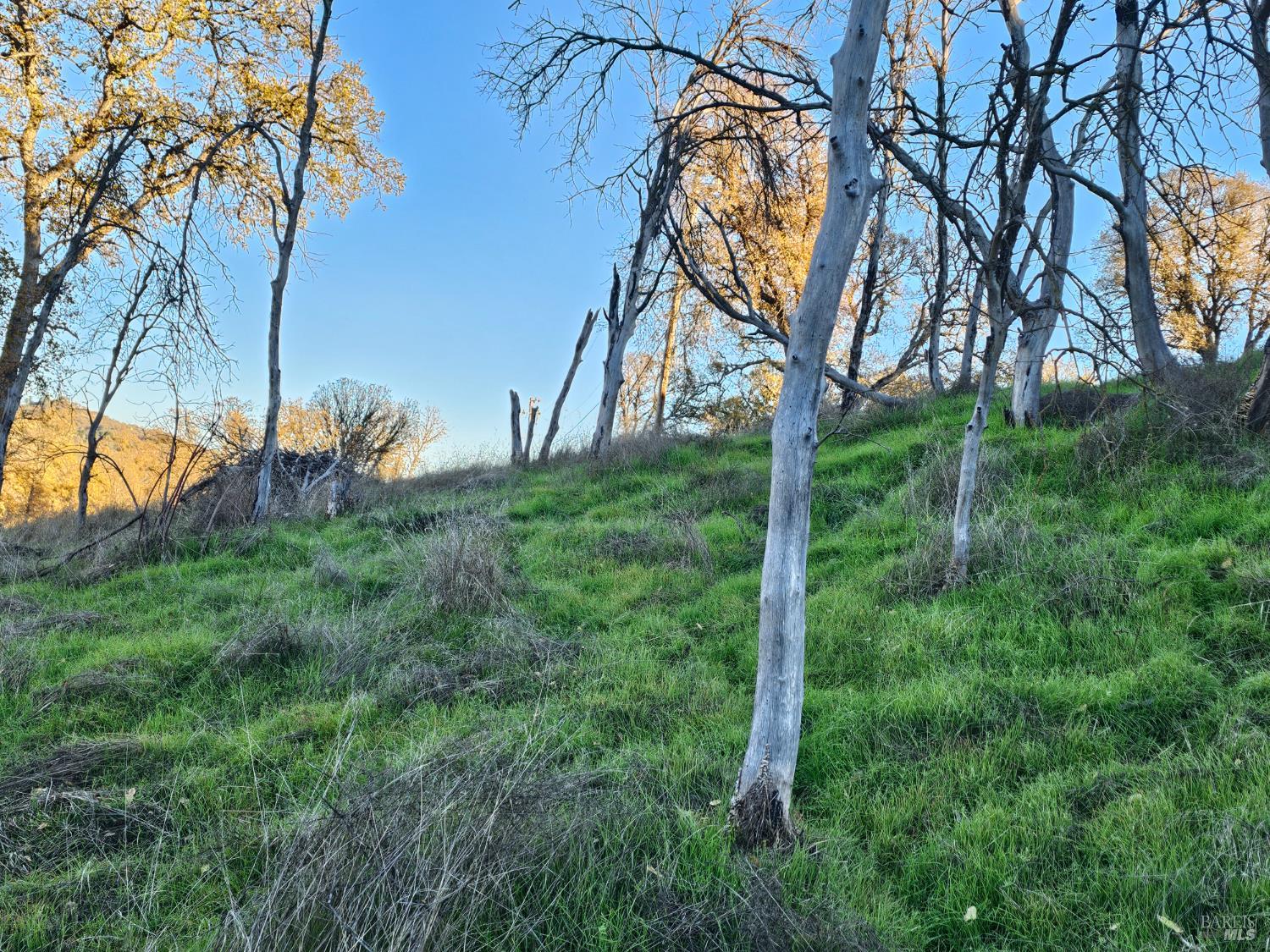 Detail Gallery Image 19 of 28 For 17150 Deer Park Dr, Lower Lake,  CA 95457 - – Beds | – Baths