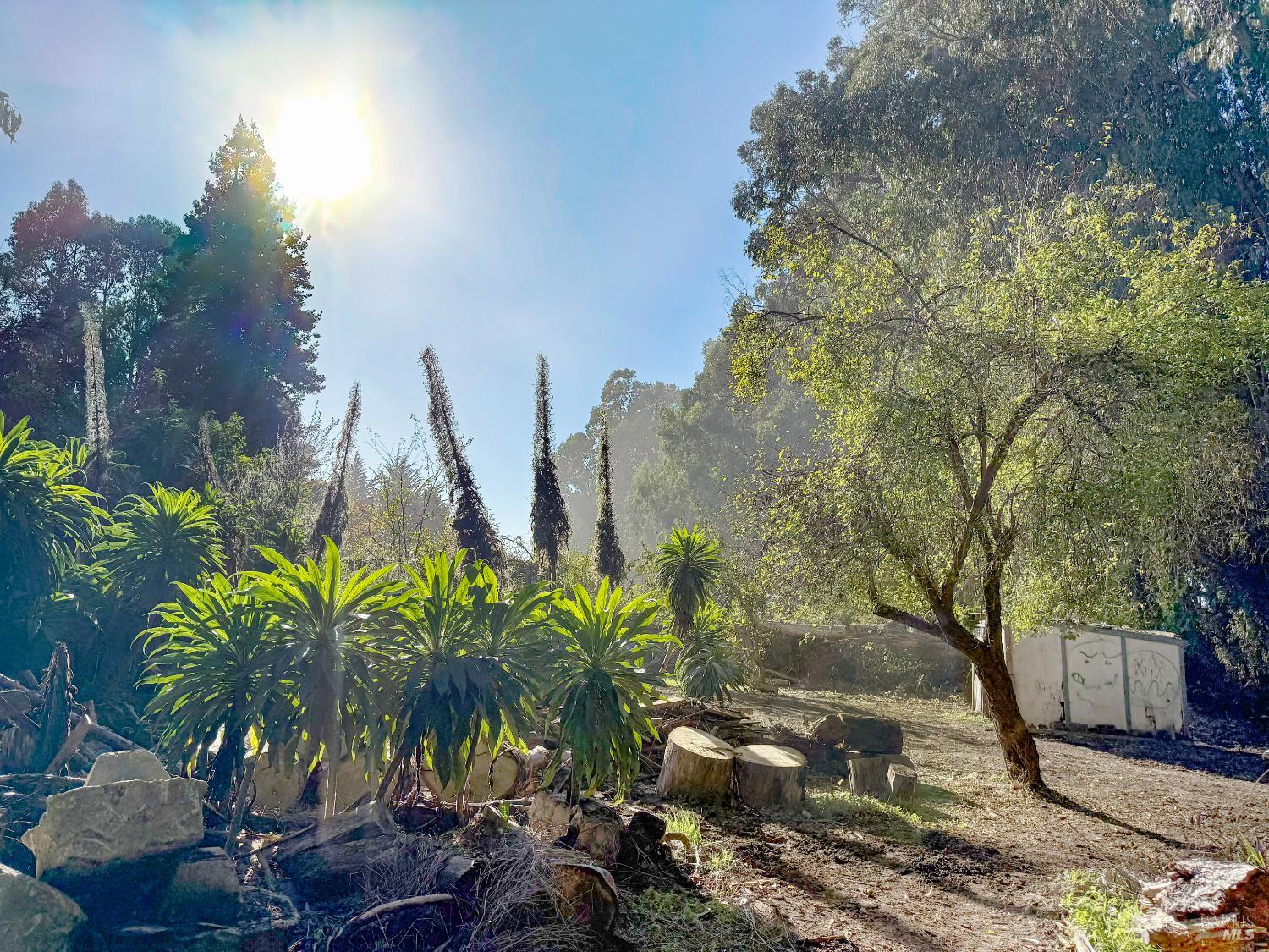 Detail Gallery Image 5 of 22 For 27832 N Highway 1 Hwy, Fort Bragg,  CA 95437 - 3 Beds | 2 Baths