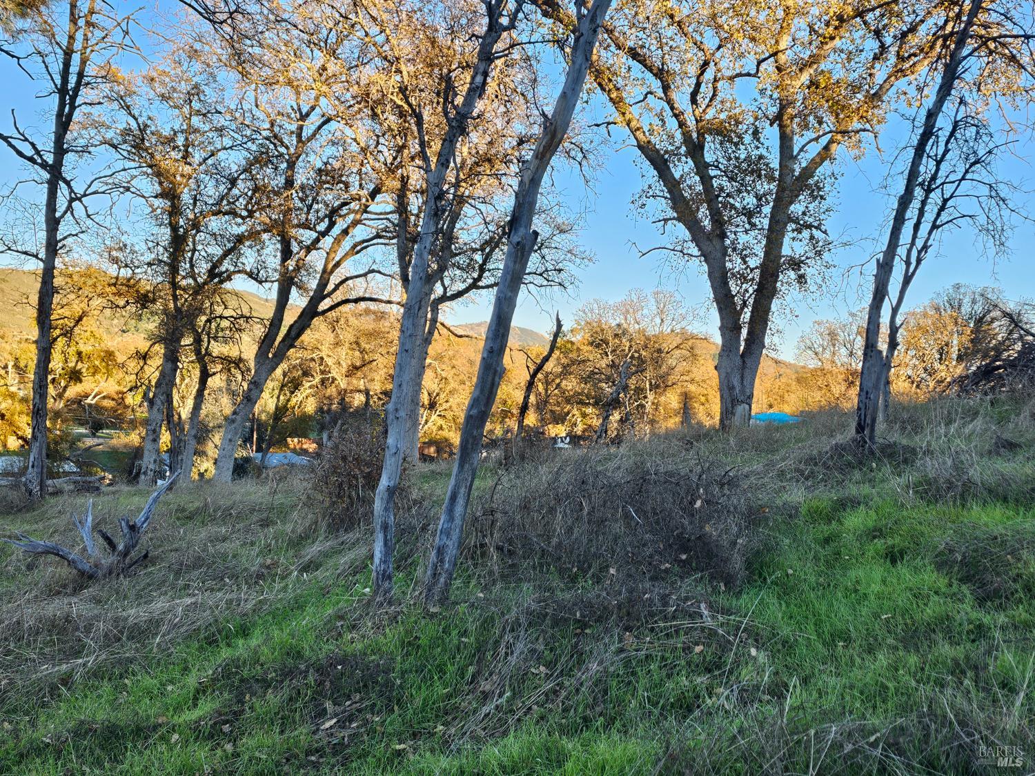 Detail Gallery Image 20 of 28 For 17150 Deer Park Dr, Lower Lake,  CA 95457 - – Beds | – Baths