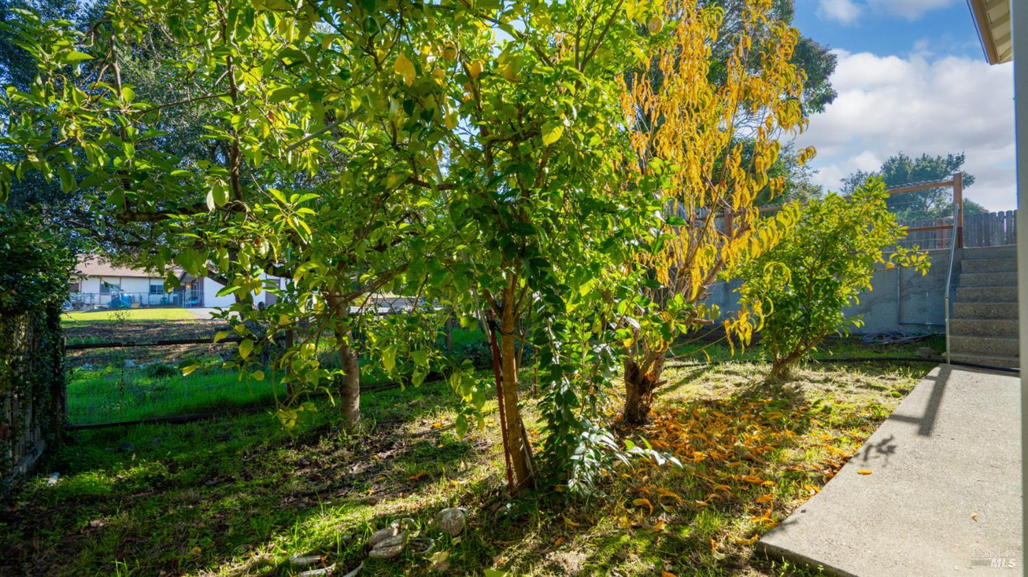 Detail Gallery Image 38 of 40 For 716 Elm Dr, Petaluma,  CA 94952 - 3 Beds | 2 Baths