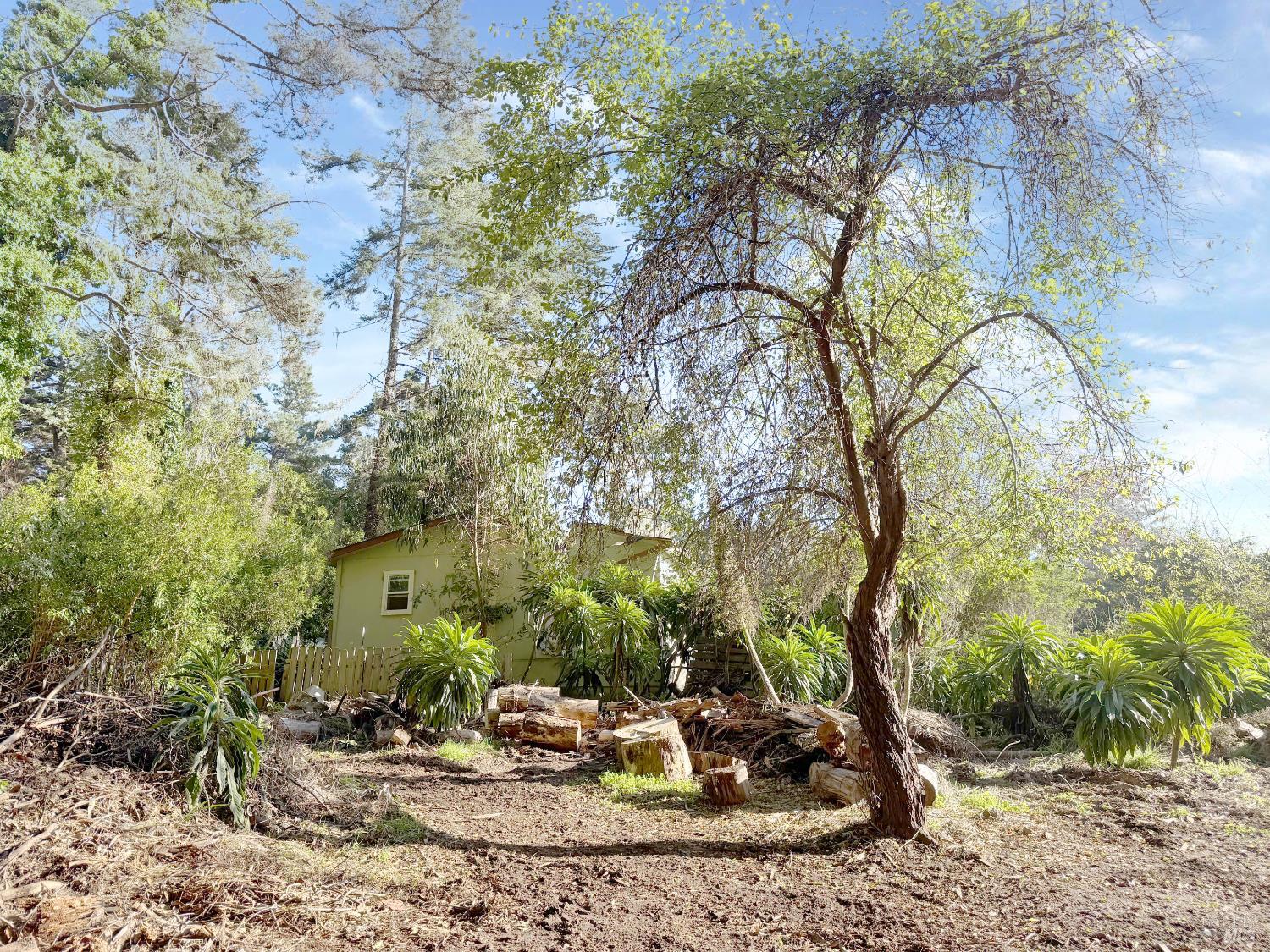 Detail Gallery Image 4 of 22 For 27832 N Highway 1 Hwy, Fort Bragg,  CA 95437 - 3 Beds | 2 Baths