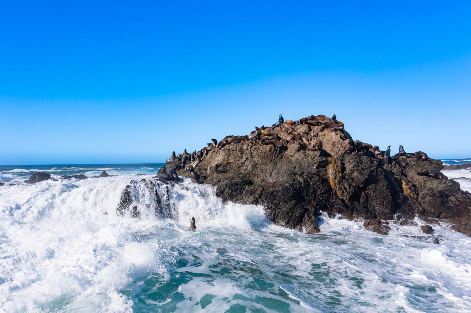 Detail Gallery Image 4 of 63 For 45525 S Caspar Dr, Mendocino,  CA 95460 - 1 Beds | 2 Baths