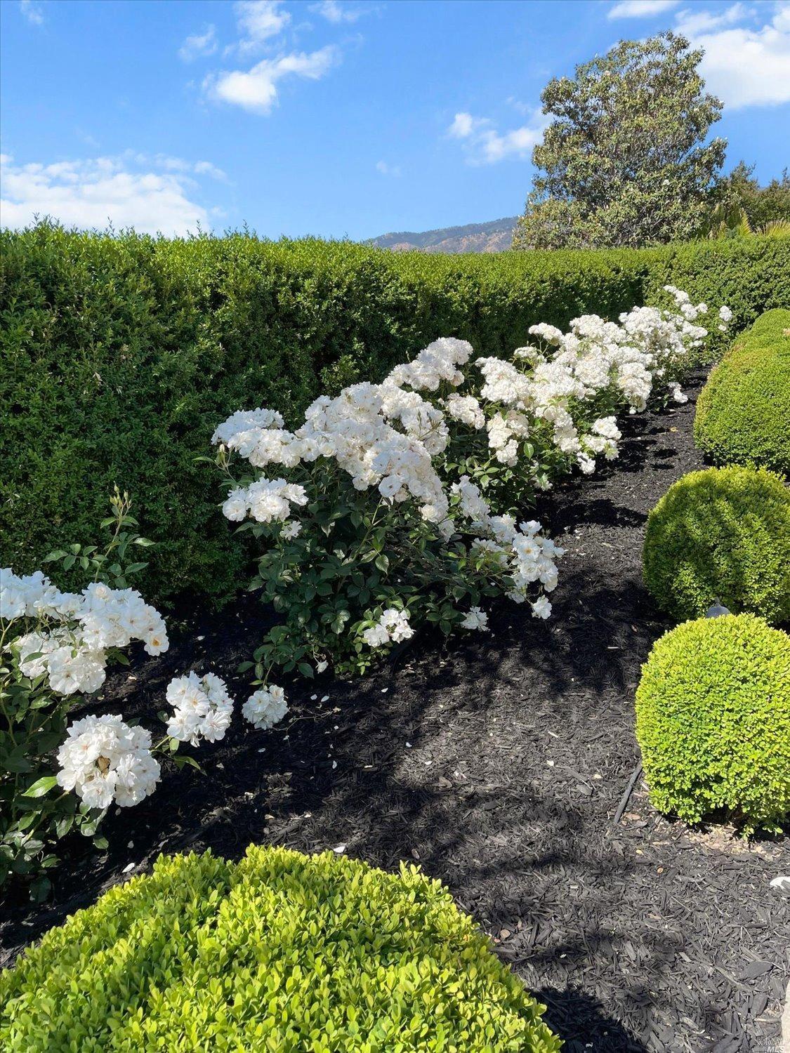 Detail Gallery Image 60 of 78 For 6041 N Vine St, Vacaville,  CA 95688 - 4 Beds | 2/1 Baths