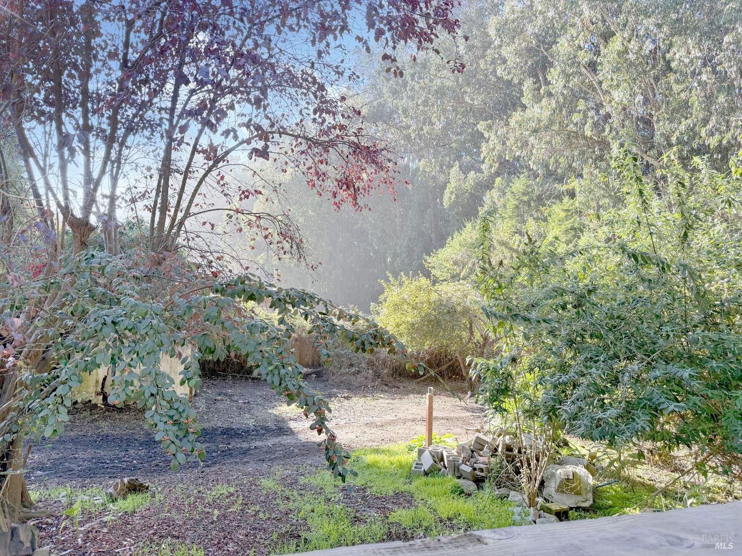 Detail Gallery Image 10 of 22 For 27832 N Highway 1 Hwy, Fort Bragg,  CA 95437 - 3 Beds | 2 Baths