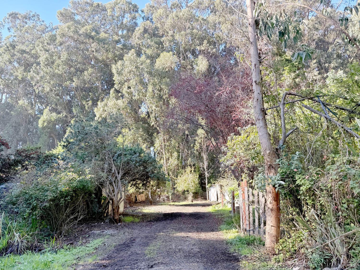 Detail Gallery Image 6 of 22 For 27832 N Highway 1 Hwy, Fort Bragg,  CA 95437 - 3 Beds | 2 Baths